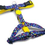 Morso Hondentuig H-Tuig Gerecycled Color Invaders Paars - 40-55 x 1,5 cm