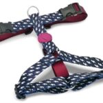 Morso Hondentuig H-Tuig Gerecycled Power Flow Zwart - 50-70 x 1,5 cm