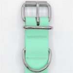 Morso Halsband Hond Waterproof Gerecycled Carribean Green Groen - 33-41 x 1,5 cm