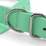 Morso Halsband Hond Waterproof Gerecycled Carribean Green Groen - 33-41 x 1,5 cm