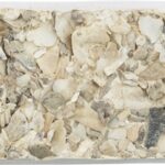 Trixie Piksteen Met Schelpen Mineralen En Mosselen - 30 g