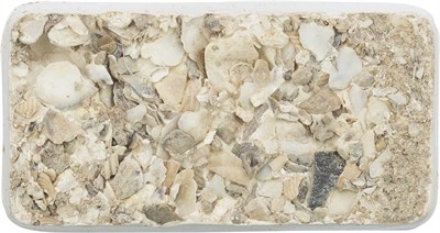 Trixie Piksteen Met Schelpen Mineralen En Mosselen - 30 g