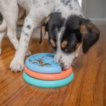 Nina Ottosson Nina Ottesson Puppy Lickin Layers - 17 x 17 x 6 cm