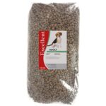 Excellent Adult Lam / Rijst - 15 kg