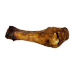 Petsnack Paardenbot - 1 stuks