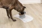 Trixie Verhoogde Voerbak / Waterbak Keramiek Grijs - 350 ml 17 cm