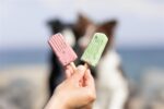 Trixie Ice Pop Roze - 55 g