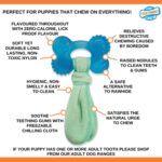 Nylabone Puppy Freezer Bone With Wash Cloth Pindakaassmaak - Medium Tot 16 kg