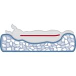 Trixie Hondenmand Vital Jonna Ribfluweel Saliegroen - 100 x 70 cm