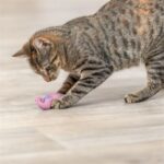 Trixie Zeepaard Pluche Met Catnip Assorti - 11 cm