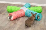 Trixie Speeltunnel Met 5 Gangen Uitbreidbaar Cavia / Dwergkonijn - 47 x 18 x 18 cm