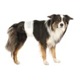 Trixie Hondenluiers Reu - Xs 20-42 cm 12 stuks