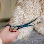 Mikki Doodle Schaar Gebogen - 19 cm