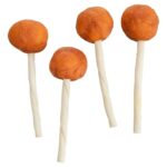 Trixie Premio Lolly Met Kabeljauw - 9 cm 60 stuks