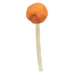 Trixie Premio Lolly Met Kabeljauw - 9 cm 60 stuks