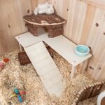 Trixie Platform Met Helling Voor Muizen / Hamsters Onbehandeld Hout - 47 x 30 x 25 cm