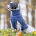 Trixie Hondentrui Norwood Blauw - 30 cm