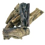 Petsnack Zzzpetsnack Long - 12-15 cm 250-300 g
