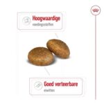 Royal Canin Maxi Adult - 15 kg
