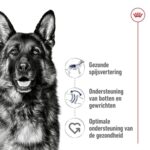 Royal Canin Maxi Adult - 15 kg