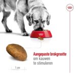 Royal Canin Maxi Adult - 15 kg