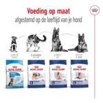 Royal Canin Maxi Adult - 15 kg