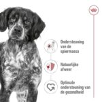 Royal Canin Medium Adult - 15 kg