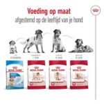Royal Canin Medium Adult - 15 kg