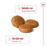 Royal Canin Medium Adult - 4 kg