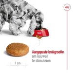 Royal Canin Medium Adult - 4 kg