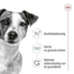 Royal Canin Mini Adult - 4 kg