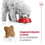 Royal Canin Mini Adult - 4 kg