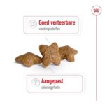 Royal Canin Mini Adult - 8 kg