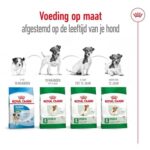 Royal Canin Mini Adult - 8 kg