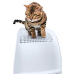 Imac Kattenbak Frida Met Lade Lichtblauw - 56 x 40 x 43,5 cm