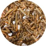 Utopia Insectenmix - 500 g