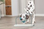 Trixie Dog Activity Skills Loop Kunststof / Metaal - 43 cm