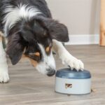 Trixie Dog Activity Buzzer Kunststof - 14 x 14 x 9,5 cm