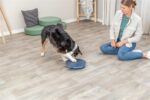 Trixie Dog Activity Rocking Maze Kunststof - 28 x 28 cm