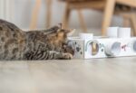 Trixie Cat Activity Paws'N'Treats Box Karton - 35 x 20 x 7 cm