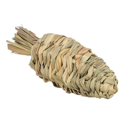 Trixie Wortel Gras - 20 x 6 cm