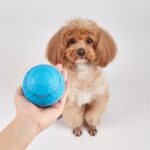 Fofos Rol Bal Oplaadbaar Voor Honden - 8,5 x 8,5 x 8,5 cm
