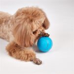 Fofos Rol Bal Oplaadbaar Voor Honden - 8,5 x 8,5 x 8,5 cm