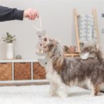 Trixie Visgraat Leer Met Touw - 43 cm