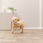 Trixie Visgraat Leer Met Touw - 43 cm