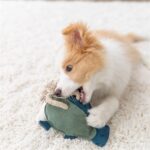Trixie Vis Leer Met Touw - 28 cm