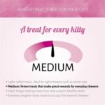 Antos Cat Soft Sticks Madame Zalm / Forel - 6 stuks