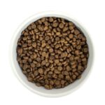Budget Premium Quality Kitten - 1 kg