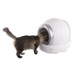 Martin Automatische Kattenbak Wit - 50 x 57 x 53 cm