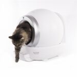 Martin Automatische Kattenbak Wit - 50 x 57 x 53 cm